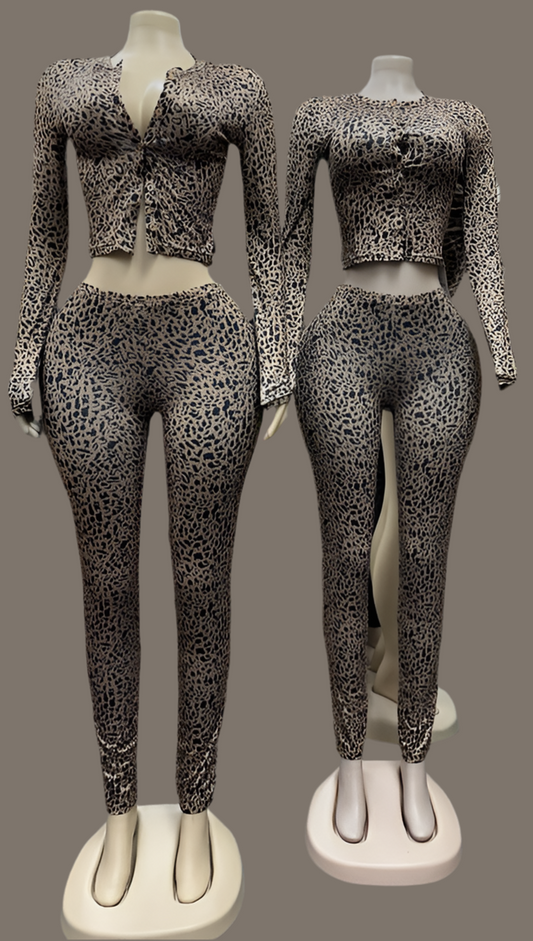 Leopard Pants Set