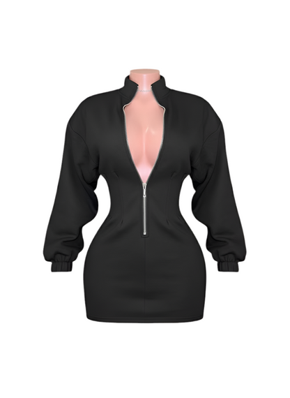 Mini Bodycon Long Sleeve Dress