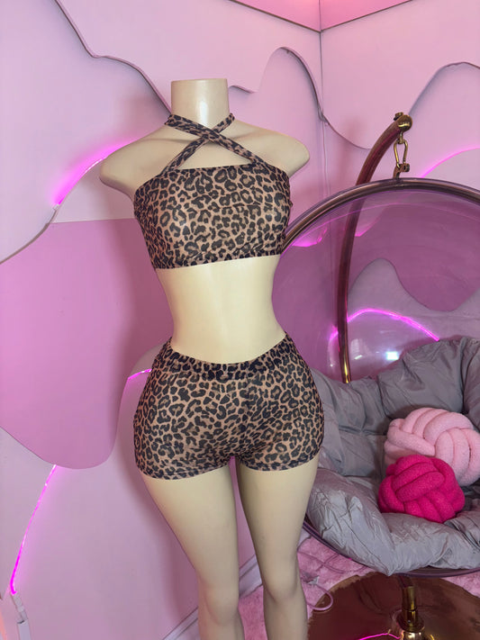 Leopard In Mesh Short Set